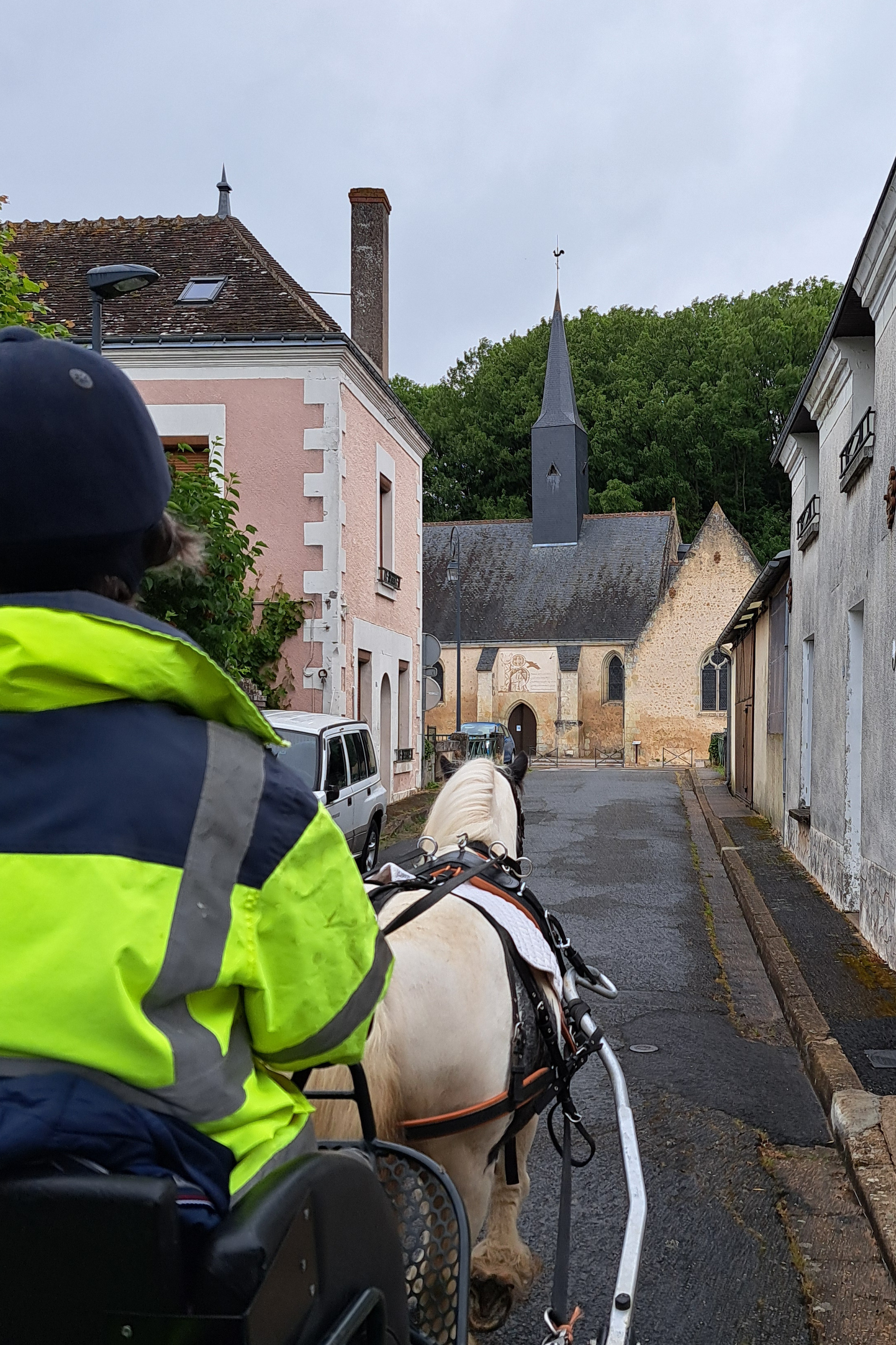 Attelage avec poney en ville